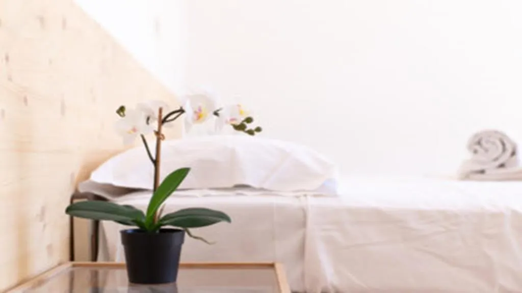 Hotel Shaka Rivazzurra Di Rimini